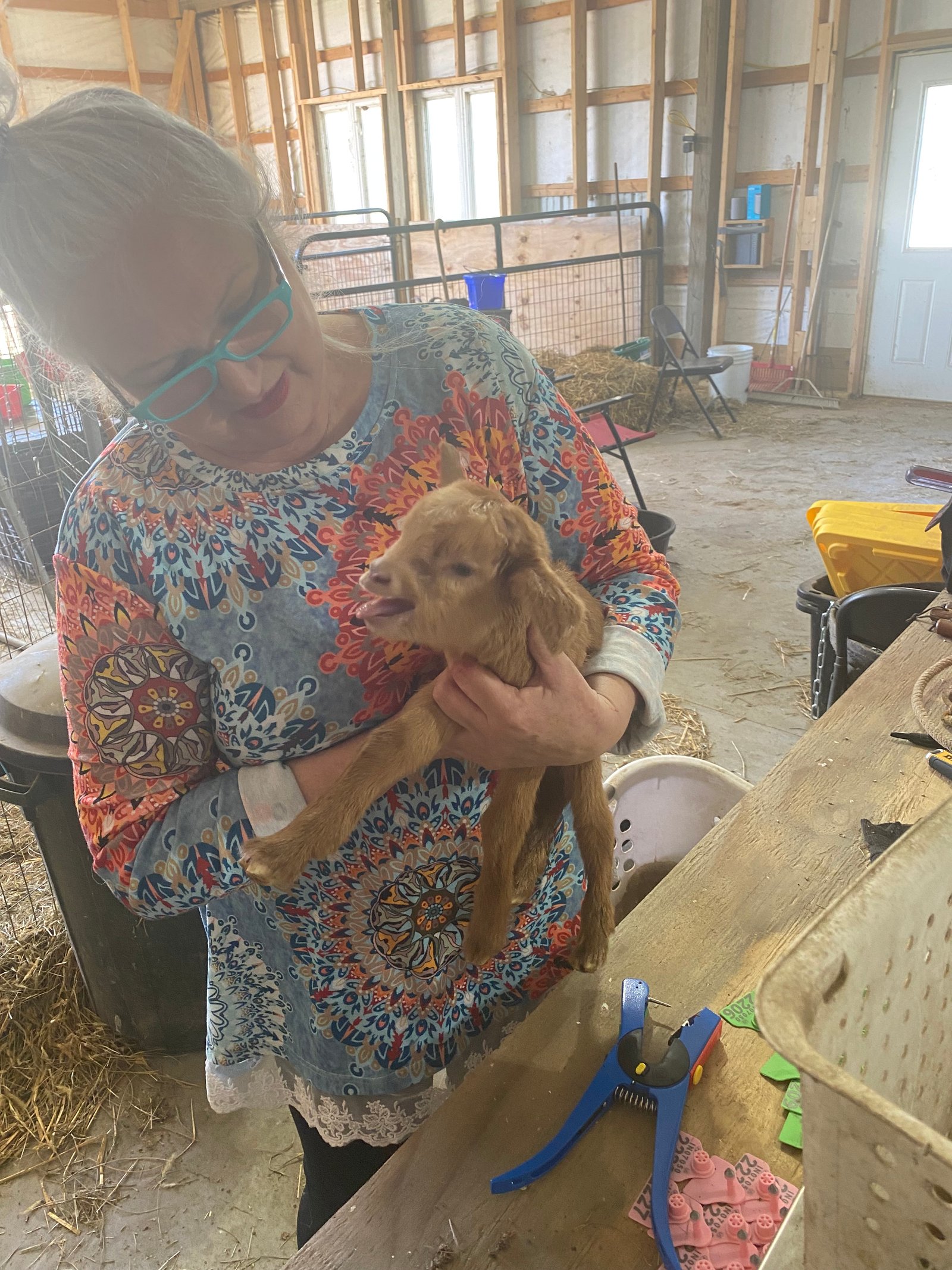 Tree with her goats.