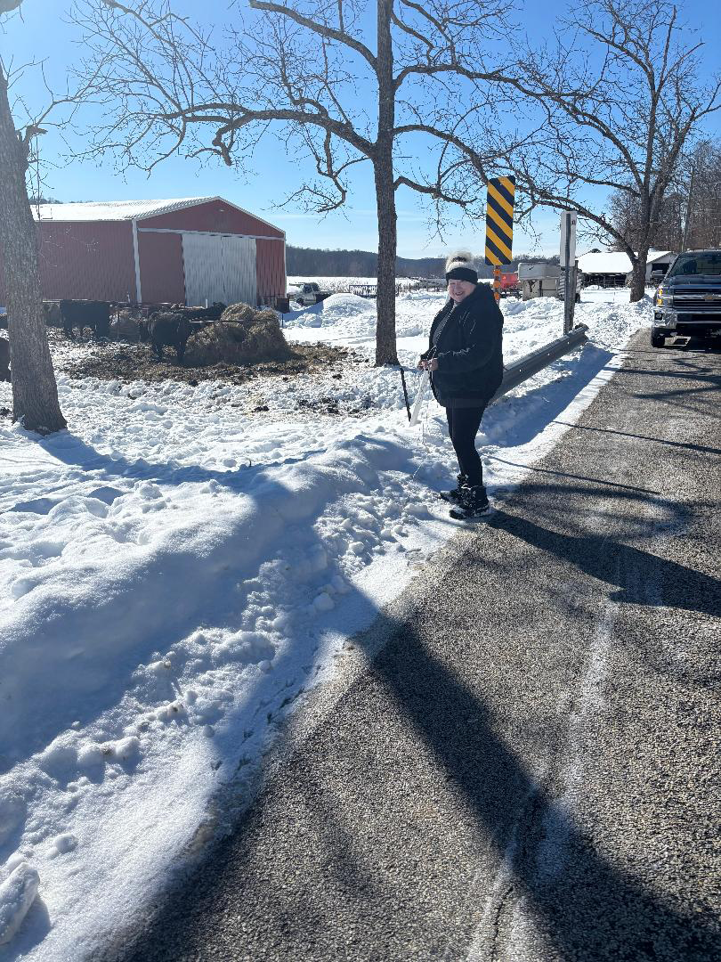 Tree fixing a fence.