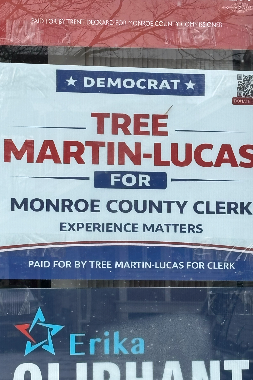 Tree's campaign sign in the Democratic HQ.